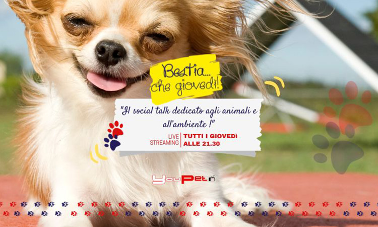 Bestia... che giovedì!